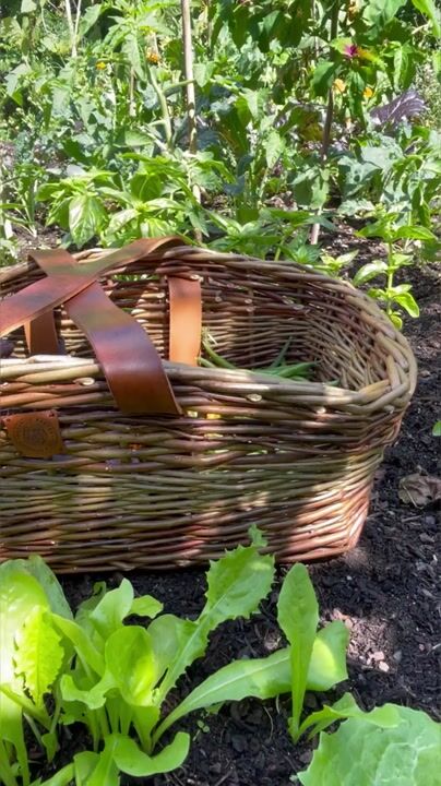 Willow Foraging Basket with Shoulder Strap - Foraging