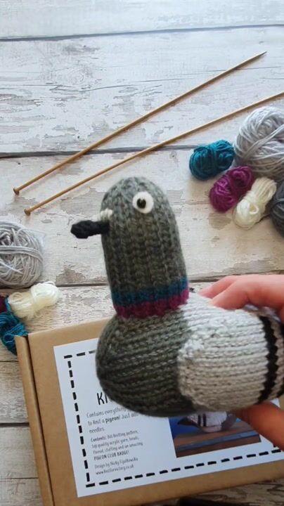 Bill the Pigeon knitting kit – Knitted Birds